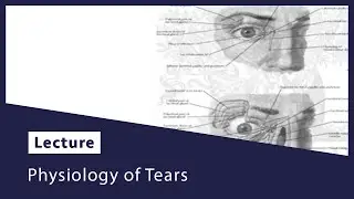 Physiology of Tears