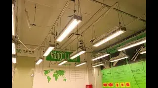600W LED Grow Lights for Greenhouse Supplemental Light