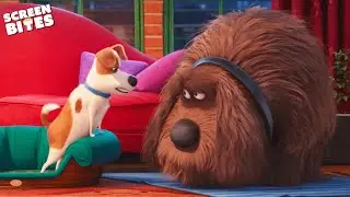 Max Gets A New Brother | The Secret Life Of Pets (2016) | Screen Bites