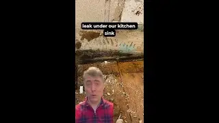 A Complete Kitchen Transformation in Fort Collins: Tackling Water and Mold Damage