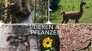 Wandertipp