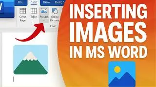 How to Insert Images in MS Word | Beginner's Guide to Picture Formatting #msword #learnmsword  #tips