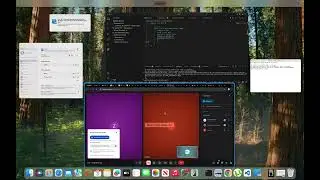 10 Урок. Computer Science A College board + Visual Studio live share