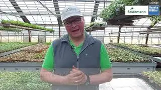 Geht es auch ohne Torf im Garten und auf der Terrasse?