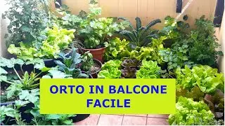 ORTO IN BALCONE O TERRAZZO - IMPOSTAZIONE DI BASE