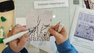 Wink of Stella Splatter Technique