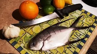 Unique Fishing - Catch, Clean, Cook - Palometa