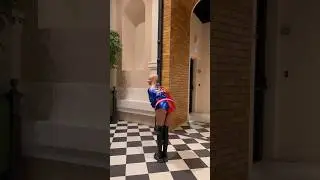Harley Quinn prank 🤭🫢😳🤣