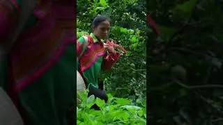 Alone but Strong: A 17-Year-Old Single Mom’s Journey from Planting Seeds to Raising Her Family