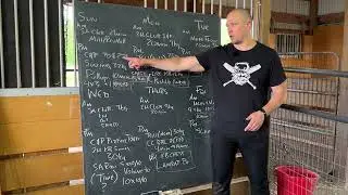 Program analysis - Yazan of Sweden