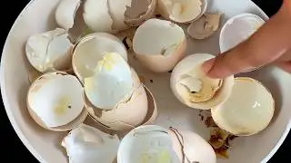 Don&rsquo;t Waste Eggshells &mdash; A Simple Kitchen Tip That Works Like Magic!