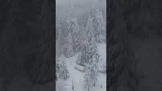 Will They Die? Chicken Mountain Winter Episode Teaser