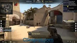 ViSO Gaming VS. Huge_Tigers