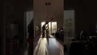 Spin Pole Combo: Scissor Sit - Layback - Iguana Fang - Iguana Split