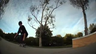 Box Sesh with Shingo