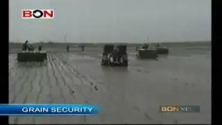 Grain Security