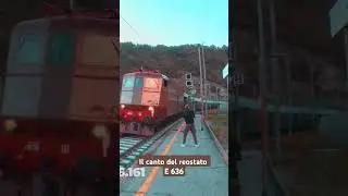 E 636 | Reostato in trazione #train #E636 #railway #trainspotting #reostato #trenostorico