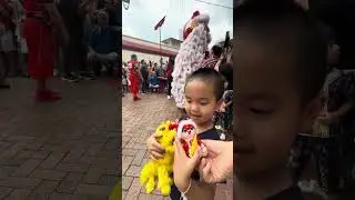 Singapore Chinatown Lion dance 2026
