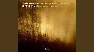 Impromptu, Op. 90 D. 899, No. 1 in C Minor: Allegro molto moderato