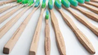 Purelygreat Natural Products WooBamboo! Toothbrush