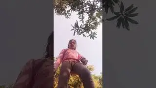 NITHYA BHAILONE SONG