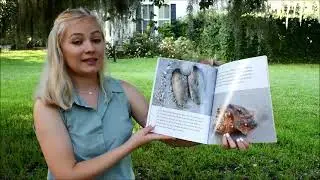 Kids Story Tome 