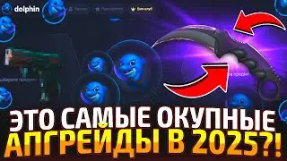 ПРОВЕРИЛ САМЫЙ ИМБОВЫЙ САЙТ В 2025 ГОДУ?! ПОДНЯЛ 2 ТОП НОЖА на DOLPHIN! cs2/кс2