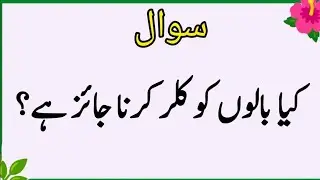 Top Islamic QuestionsAnswers - Islamic Puzzles-Islamic Sawal Jawab-UrduQuiz Islamic Quiz | Gk