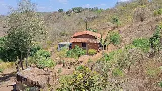 Um almoço muito simples na minha casinha simples no sertão #diaadia 