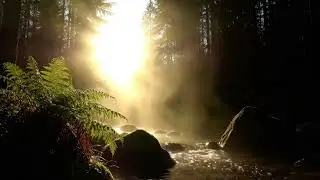 Soft Piano & Gentle River Rain for Relaxation, Sleep and Study