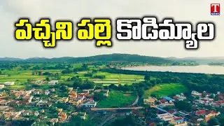 Special Report : Kodimial Village Development Works | Jagtial District | T News