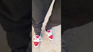 Nike Dunk Championship Red On Feet