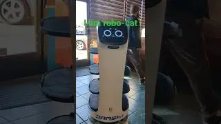 Robot cat waiter in sushi restaurant