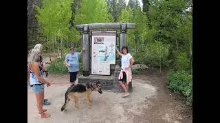 Limber Pine Trail in the Bear Lake Valley
