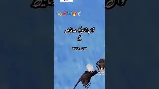 #https://youtube.com/@msstatus8927