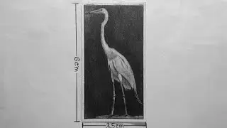 Pond Heron Miniature Sketch | Realistic Drawing | Beautiful Bird