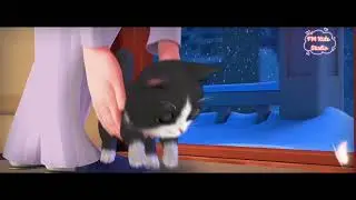 Kitten Match Level 1