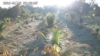 &lrm;13 &lrm;มกราคม &lrm;2569, &rlm;&lrm;75440