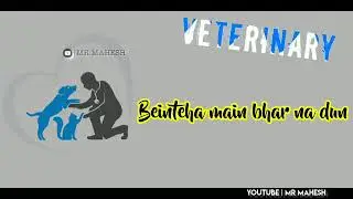 veterinary Doctor status ❤️