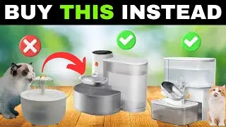 ✅ 4 BEST Cordless CAT & Dog WATER FOUNTAINS [2026]🐾 No Filter & Separate Wastewater, Stainless Steel