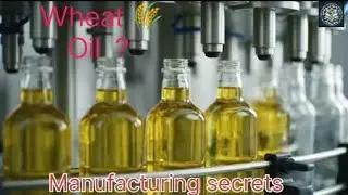 Make a Wheat 🌾 Oil 🛢️ Complete Factory Process | From Wheat Germ to Pure Edible Oil |Full Industrial
