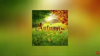 Jazz, Pop, Rock, Reggae, Chill Synth