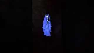 Haunted Mansion - stopped at Constance Hatchaway ending - 5/7/24 - Disney Magic Kingdom