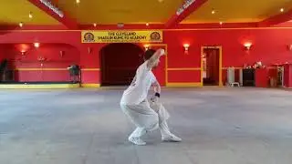 Cleveland Shaolin Kung Fu Academy  (tong bi quan) done by Sifu Robert Antioch
