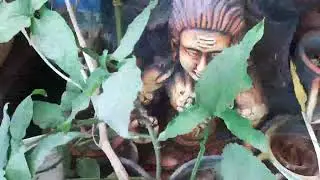 Grow organically