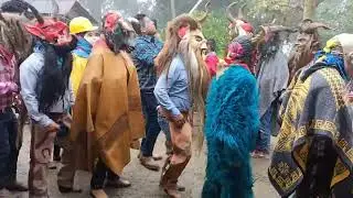 Carnaval Tzimentey Huayacocotla 2022 part7