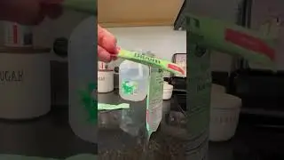 Trying bloom&rsquo;s greens & superfoods powder packet ! It was good! #bloom #greens