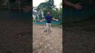 tandi tandi#pobin sorat dance