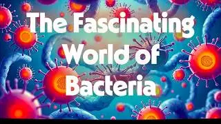 The Fascinating World of Bacteria