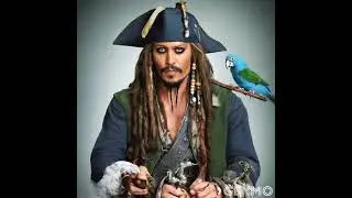 Captain Jack Sparrow parrot with a parrot ( AI )